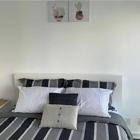 Comfort Two Beds Suite By Cn Tower Rogers Centre Plus Free Parking 多伦多 外观 照片