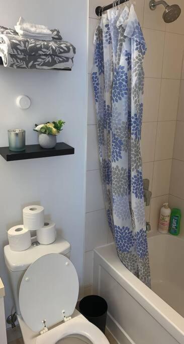 Comfort Two Beds Suite By Cn Tower Rogers Centre Plus Free Parking 多伦多 外观 照片